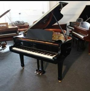 Meet your Posher, Manuel